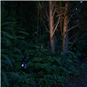 6W LED Garden Spotlight "Cypress" Warm White 12V IP68