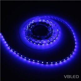 Bande LED 5m bleu 12VDC IP20