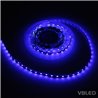 Bande LED 5m bleu 12VDC IP20