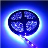 LED strip 5m UV 12VDC IP20