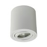 Proyector de techo LED / proyector de superficie orientable incl. LED 5,5W