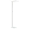 Lampadaire LED de bureau blanche Up & Down 60W 4000K 7500Lumen dimmable