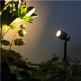 Faretto da giardino con lampadina LED sostituibile Nero 12V AC/DC 6W 3000K Bianco caldo